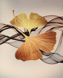 Ginkgo Leaf Wall Art Canvas Painting